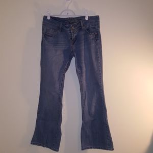 AE Artist boot cut jeans